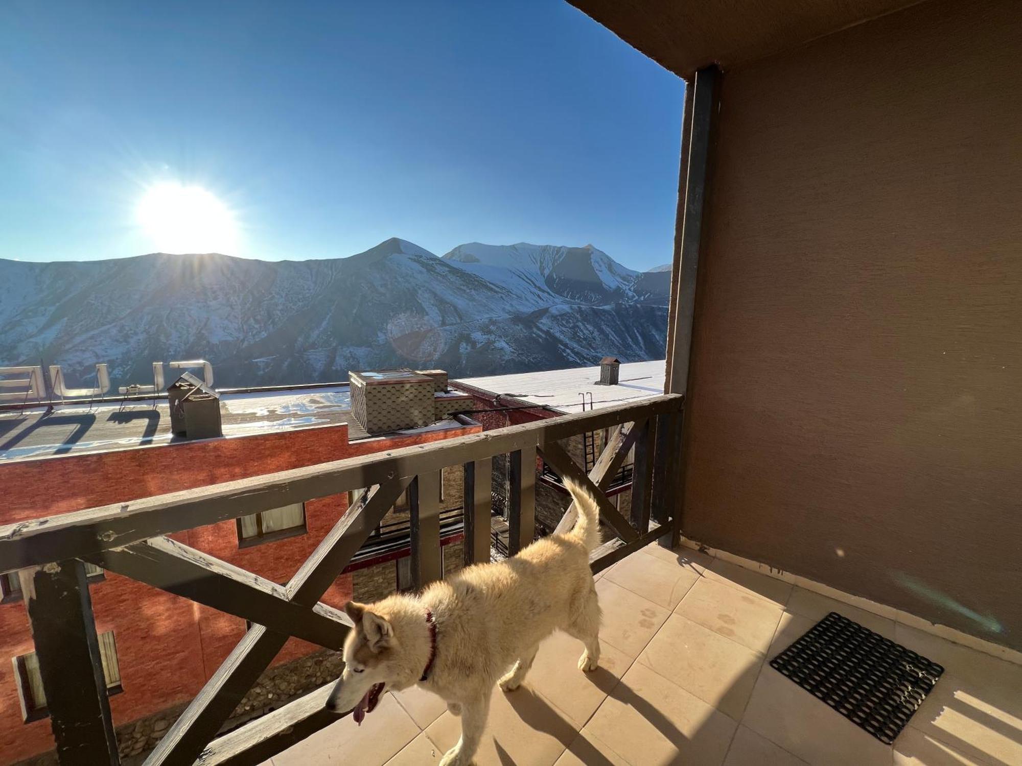 2-room apartment GVC Gudauri 305 Exterior foto